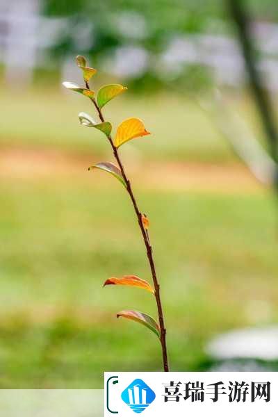 球球大作战春芽孢子皮肤