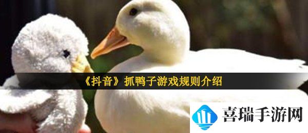 《抖音》抓鸭子游戏规则介绍