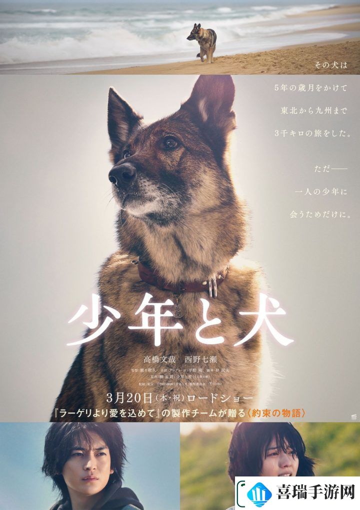 少年与犬预告首发高桥文哉主演直木奖力作