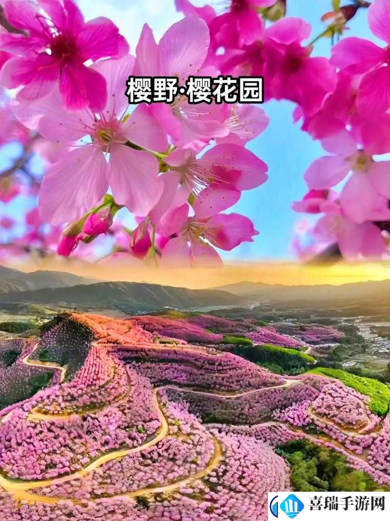 樱花影院