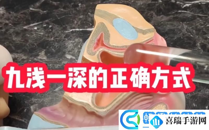 掌握“九浅一深的正确使用方法”