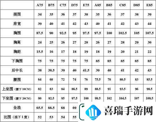 欧洲多尺码3538