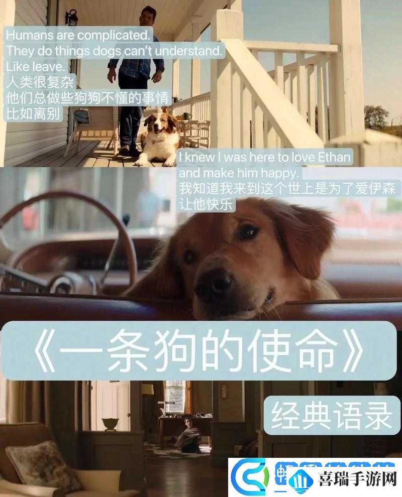 私人影片